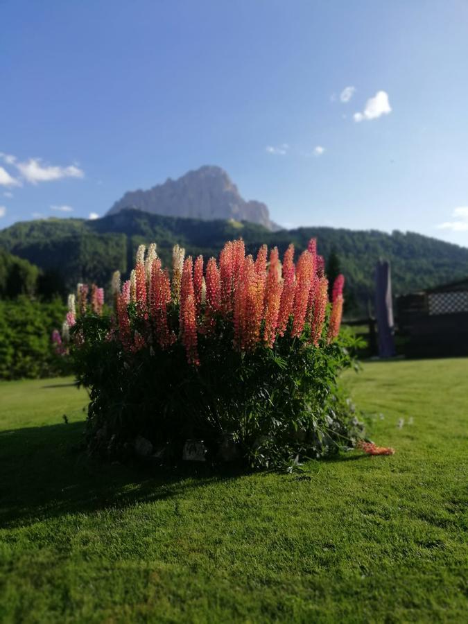 Cedepuent De Sot Apartamento Selva di Val Gardena Exterior foto