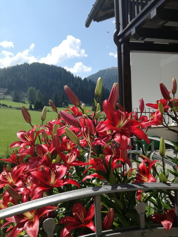 Cedepuent De Sot Apartamento Selva di Val Gardena Exterior foto
